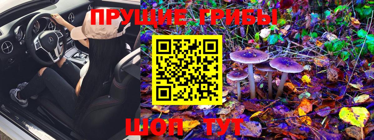 Асбест  Псилоцибиновые грибы MAGIC MUSHROOMS  Вход с VPN  где купить наркоту  Псилоцибиновые грибы Cubensis 