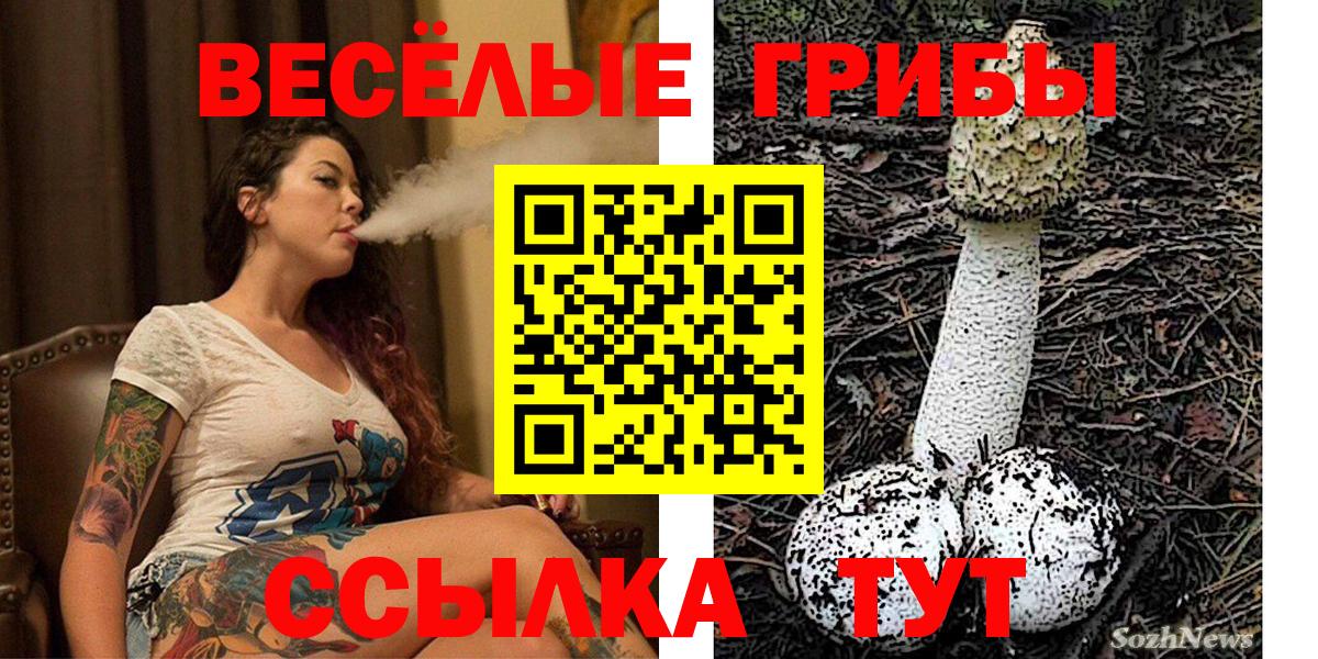 Псилоцибиновые грибы мухоморы Асбест
